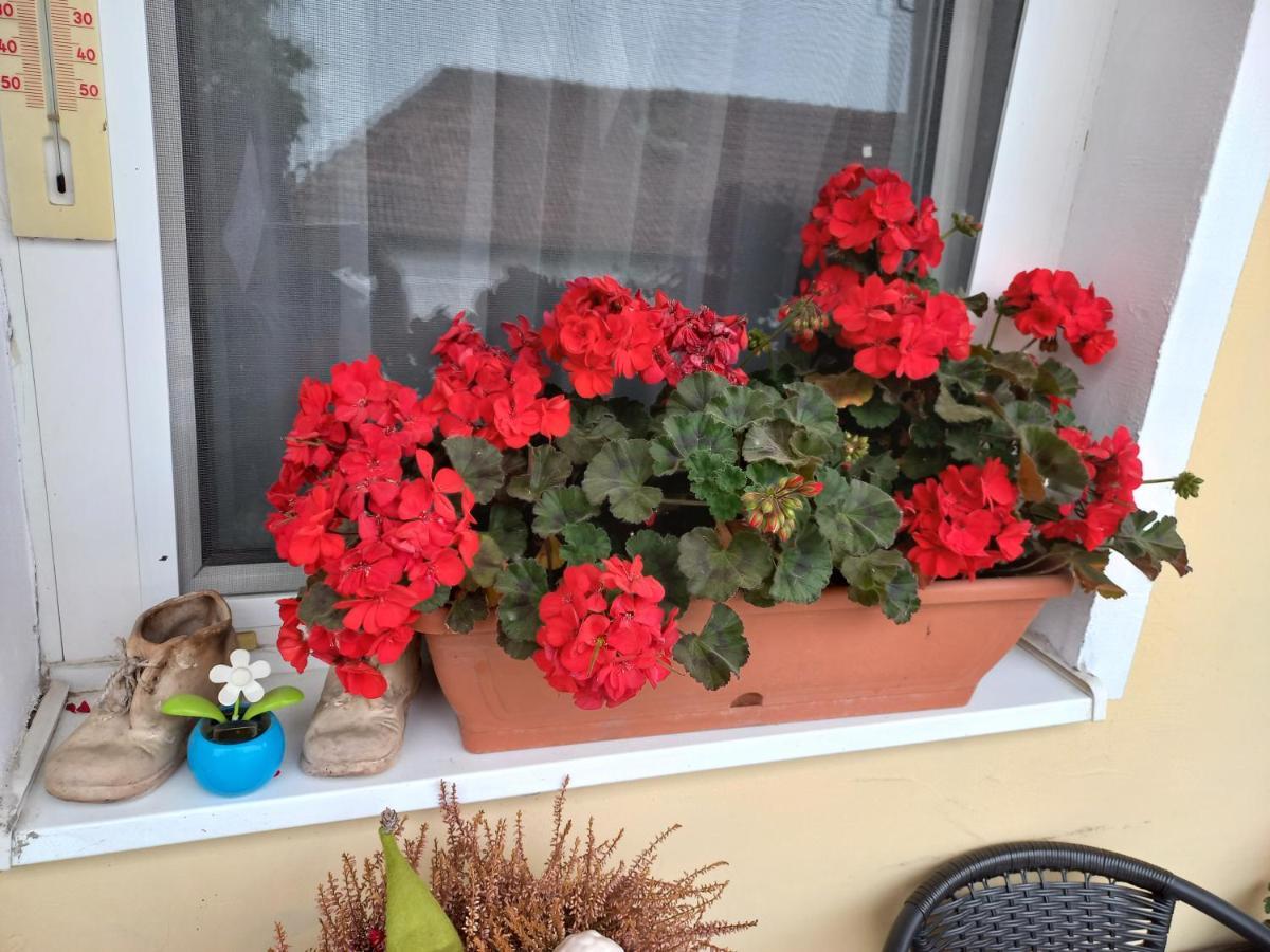 Oazis Apartman Sárospatak Buitenkant foto